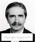 علی غزنوی
